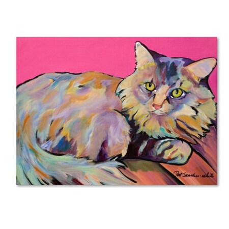 Pat Saunders 'Catatonic' Canvas Art,14x19